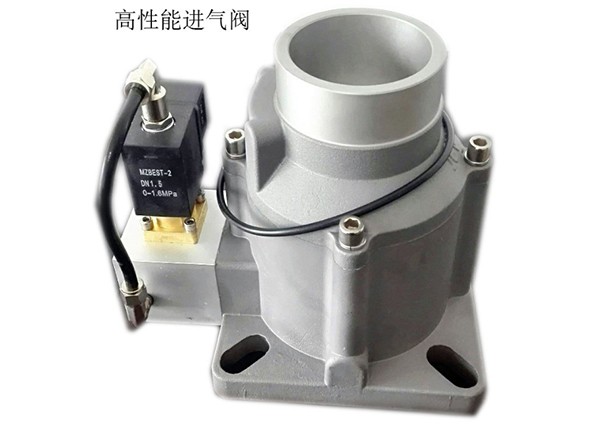 Air compressor intake valve